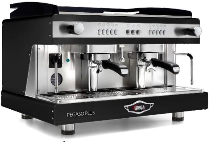 WEGA Pegaso Plus
